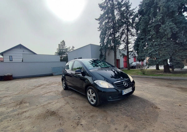 Mercedes-Benz Klasa A cena 12499 przebieg: 239790, rok produkcji 2009 z Szamotuły małe 79